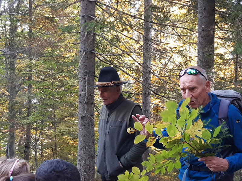 uscita nel bosco